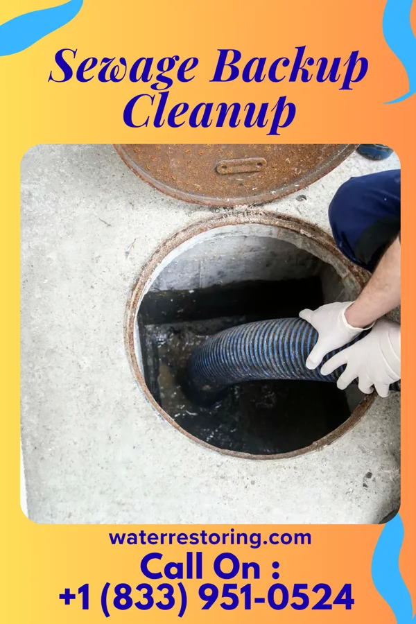 Sewage Backup Cleanup in Rentz, GA