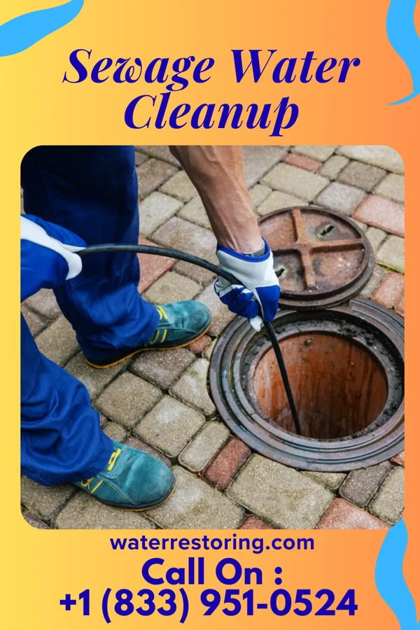 Sewage Water Cleanup in Rentz, GA